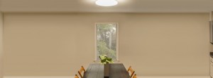 sunn light meeting room